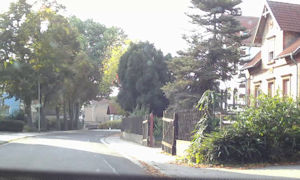 Albisheim Scenes 29.jpg